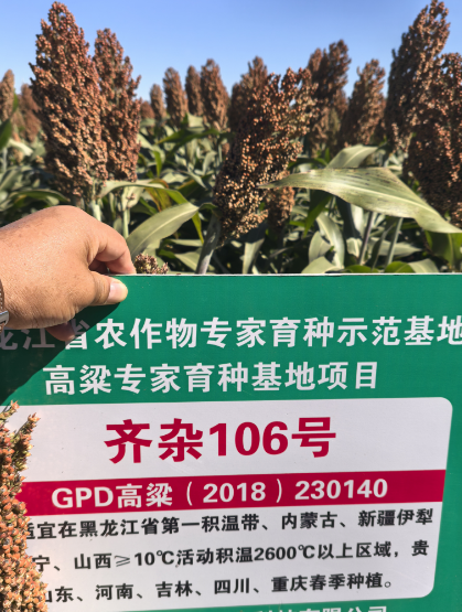 1733121174329527.png QQ截圖20241202143240.png